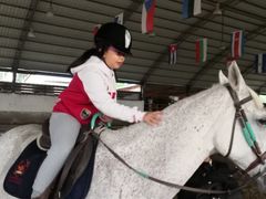 -月河湾马术俱乐部(朝阳店)