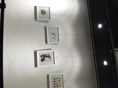 iphone_upload_pic-北方图书城(沈阳天地店)