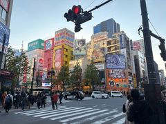 -Animate(秋叶原本馆)