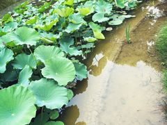 -河南省黄河迎宾馆