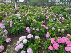 -常州古运河南大街文化旅游区-人民公园