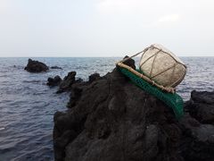 -龙头岩(Dragon Head Rock)