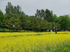 -北坞公园