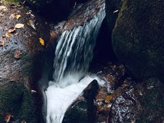 -五女峰国家森林公园