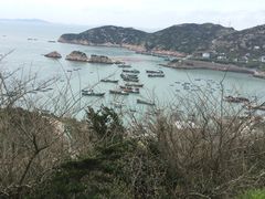 -枸杞岛