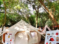 -南宁良凤江国家森林公园