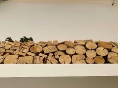 -四姑娘山阿巴郎·藏式花园餐厅