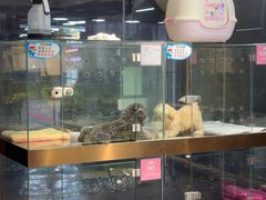 -FAELING PETS美天灵宠物(富力广场店)