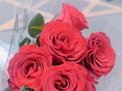 -循礼门鲜花花市(武汉循礼门店)