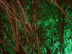 -苏州河梦清园环保主题公园