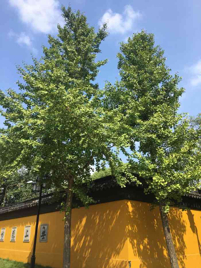 三香公园-"一般的公园,适合附近居民溜达."-大众点评移动版