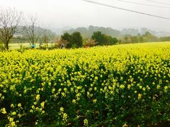 -韶山毛泽东同志故居