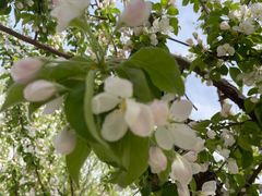 -元大都城垣遗址公园