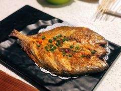 -九府羊·鲜羊火锅·烤串(新华路店)