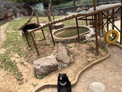 -无锡动物园·太湖欢乐园