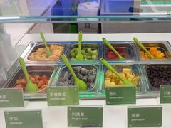 -Salud撒露欧洲冻酸奶(五道口购物中心店)