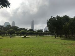 -万绿园