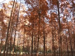 -河南省黄河迎宾馆