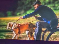 -天幕新彩云国际影城(激光巨幕店)