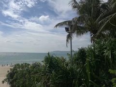 -三亚湾红树林度假世界(木棉酒店)