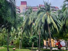 -三亚湾海居铂尔曼度假酒店