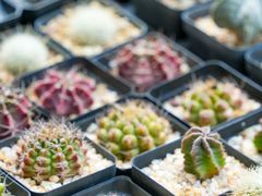 -瑞虹新天地月亮湾