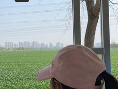 -嘉北郊野公园