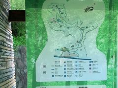 -都江堰中华大熊猫苑