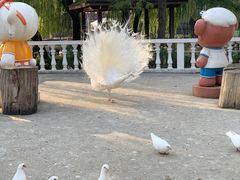 -金庭庄园酒店-停车场