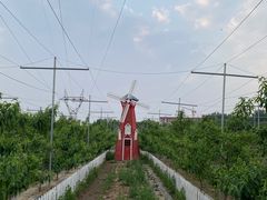 -意大利农场西餐厅(顺义店)