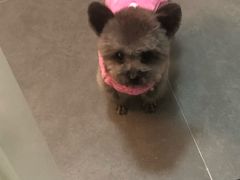 -喵汪宠物生活馆(涞坊路店)