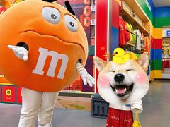 -m豆巧克力世界(上海世茂广场店)