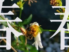 -东山湖公园