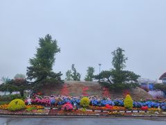 -荷兰花海