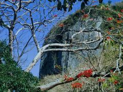 -日军最后司令部遗址