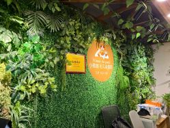 -小熊维尼高端儿童摄影(宝安旗舰店)