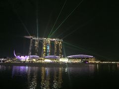 -新加坡丽思卡尔顿美年酒店