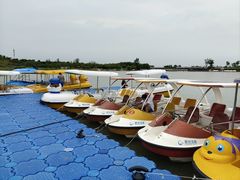 -金沙湖旅游度假区