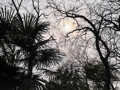 -上海佘山国家森林公园西佘山园