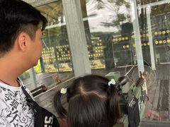 -长洲岛都市农业公园