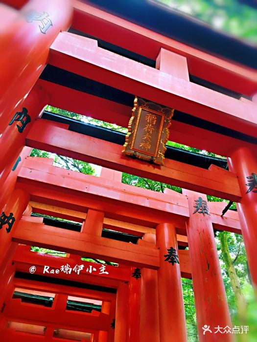 千本鳥居-景點圖片-京都景點門票-大眾點評網