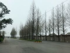 -长兴对江渡客运站