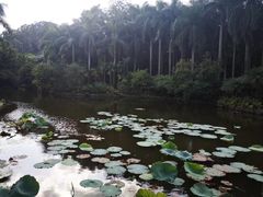 -滴水岩森林公园