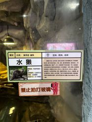 -Zoolung Zoolung动物主题公园(海信广场店)