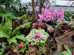 -北京植物园-展览温室