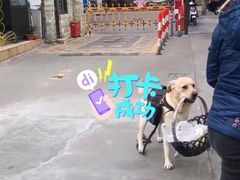 -PETKIT小佩宠物·低压洗护(国顺东路店)