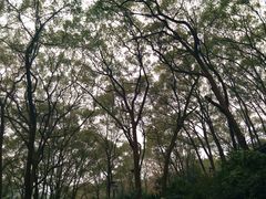 -忠山公园