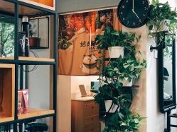 -AFA Hair studio·女士发型设计