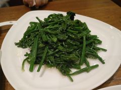 素炒洋丝瓜尖-金孔雀德宏傣味餐馆(魏公村店)