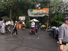 -奥兰多迪士尼动物王国乐园